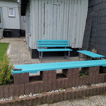 Grosses Schoenes Ferienhaus Mit Garten Fuer 12 Personen Erwartet Sie Im Harz! Санкт-Андреасберг Экстерьер фото